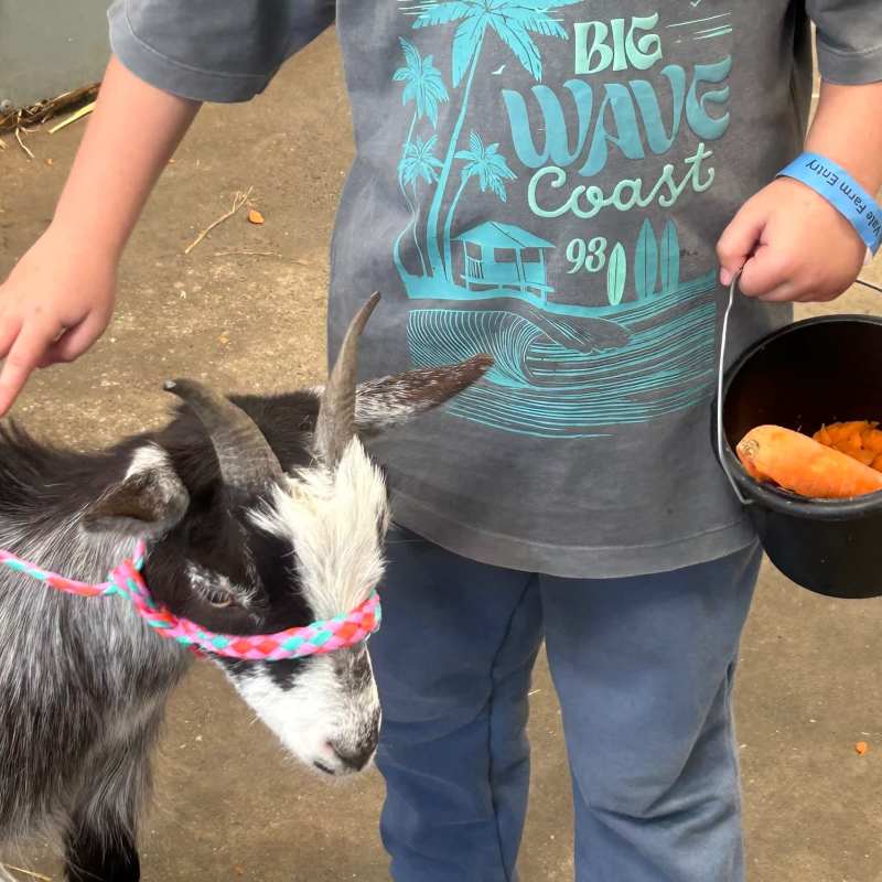 Petting The Goats