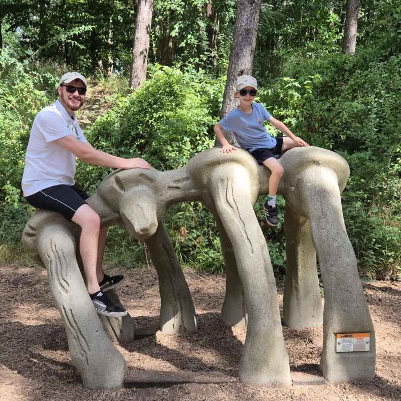 Dino climbing area