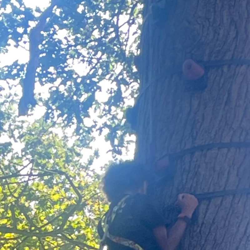 Tree climbing