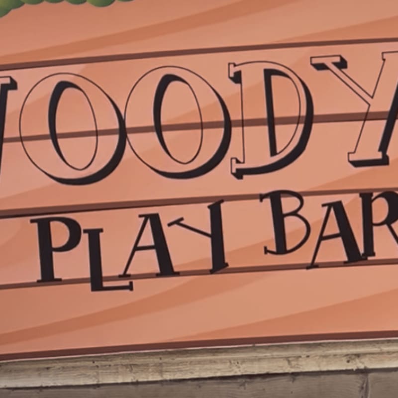 Woodys play barn