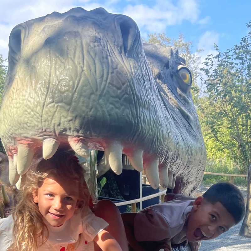 Dinosaur Forest