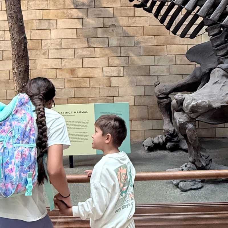 Fossils on display