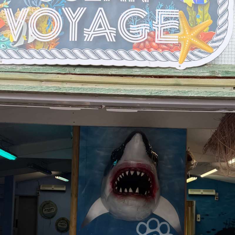 Ocean Voyage