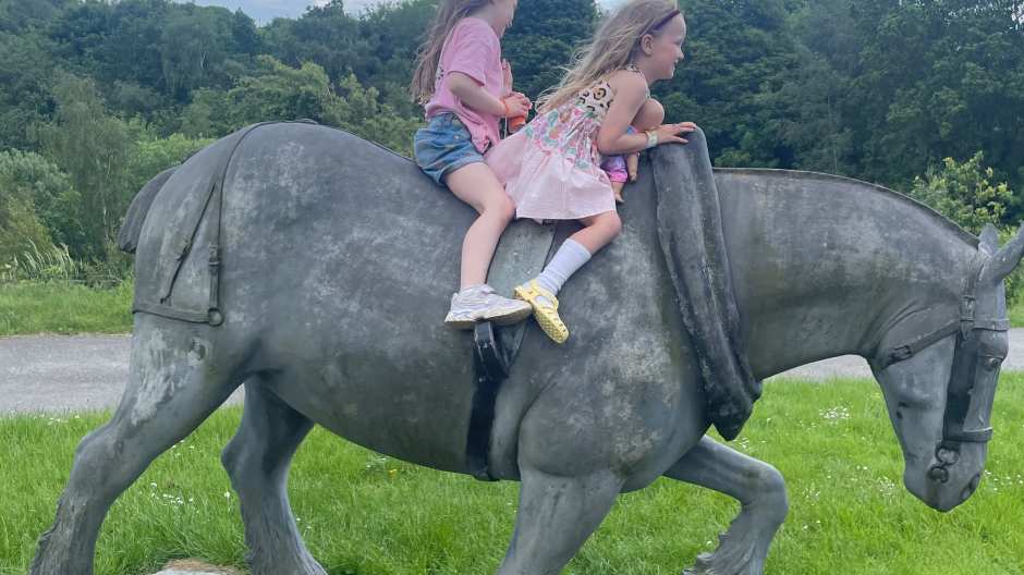 coal mining horse