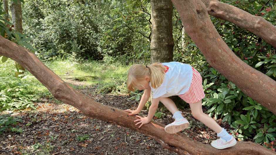 Tree climbing