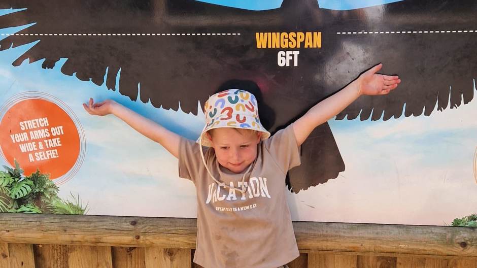 Measuring our wings Measuring our wings