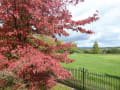 Emmetts Garden gallery image by Marathon