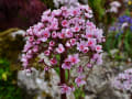 Emmetts Garden gallery image by Michael Garlick