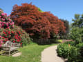 Emmetts Garden gallery image by Des Blenkinsopp