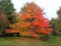 Emmetts Garden gallery image by Marathon