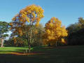 Hatchlands Park gallery image by Alan Hunt