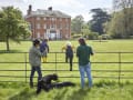 Hatchlands Park gallery image by Arnhel de Serra