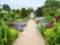Mottisfont gallery image by Marianne Majerus