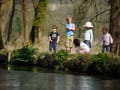 Mottisfont gallery image by John Millar