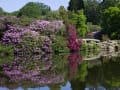 Sheffield Park and Gardens gallery image by Laurence Perry