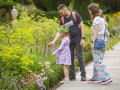 Cliveden Maze and Gardens gallery image by James Dobson