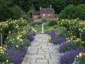 Chartwell gallery image by Laurence Perry