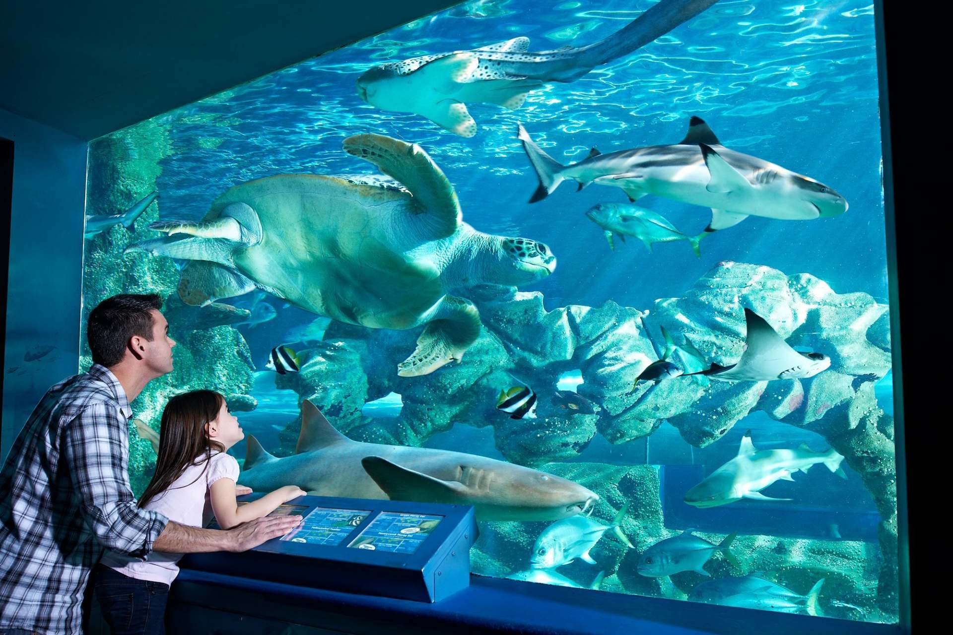 aquarium
