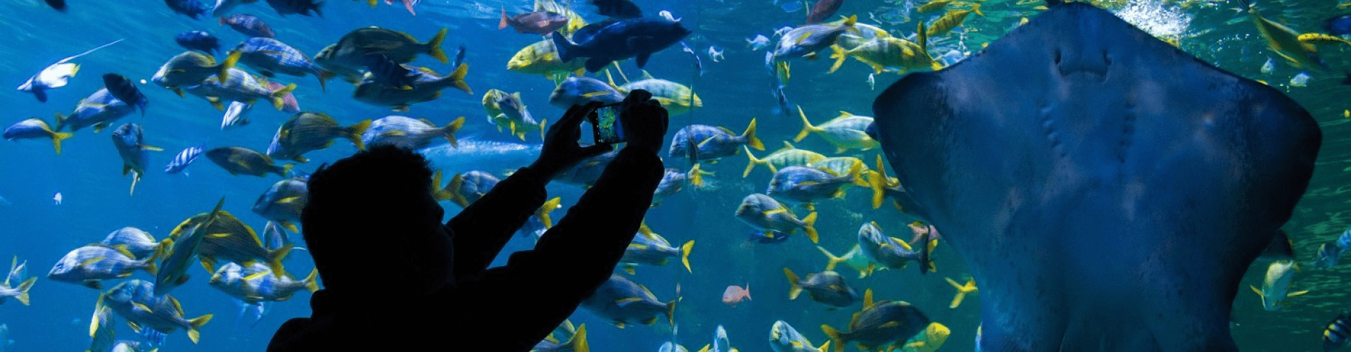 Blue Planet Aquarium Hero Image
