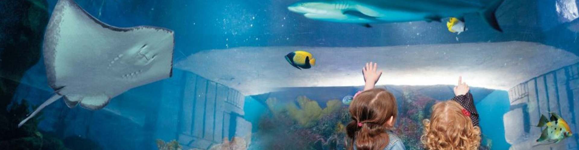 kids looking up at an overhead fish tank
