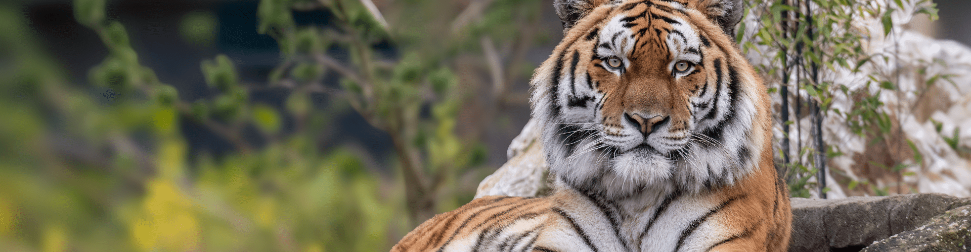 Blackpool Zoo Image
