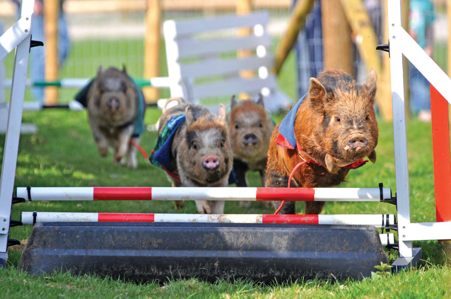 Pennywell Farm Karts