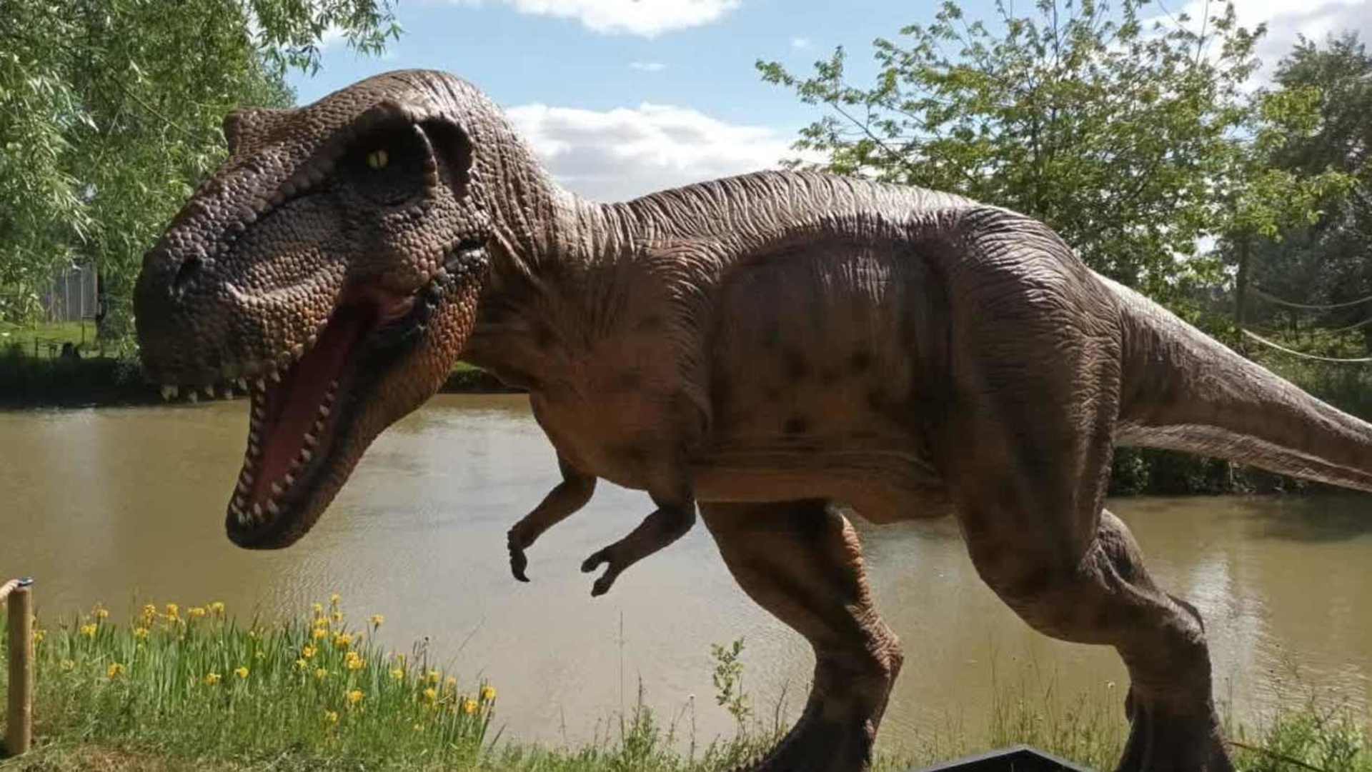 Dinosaur