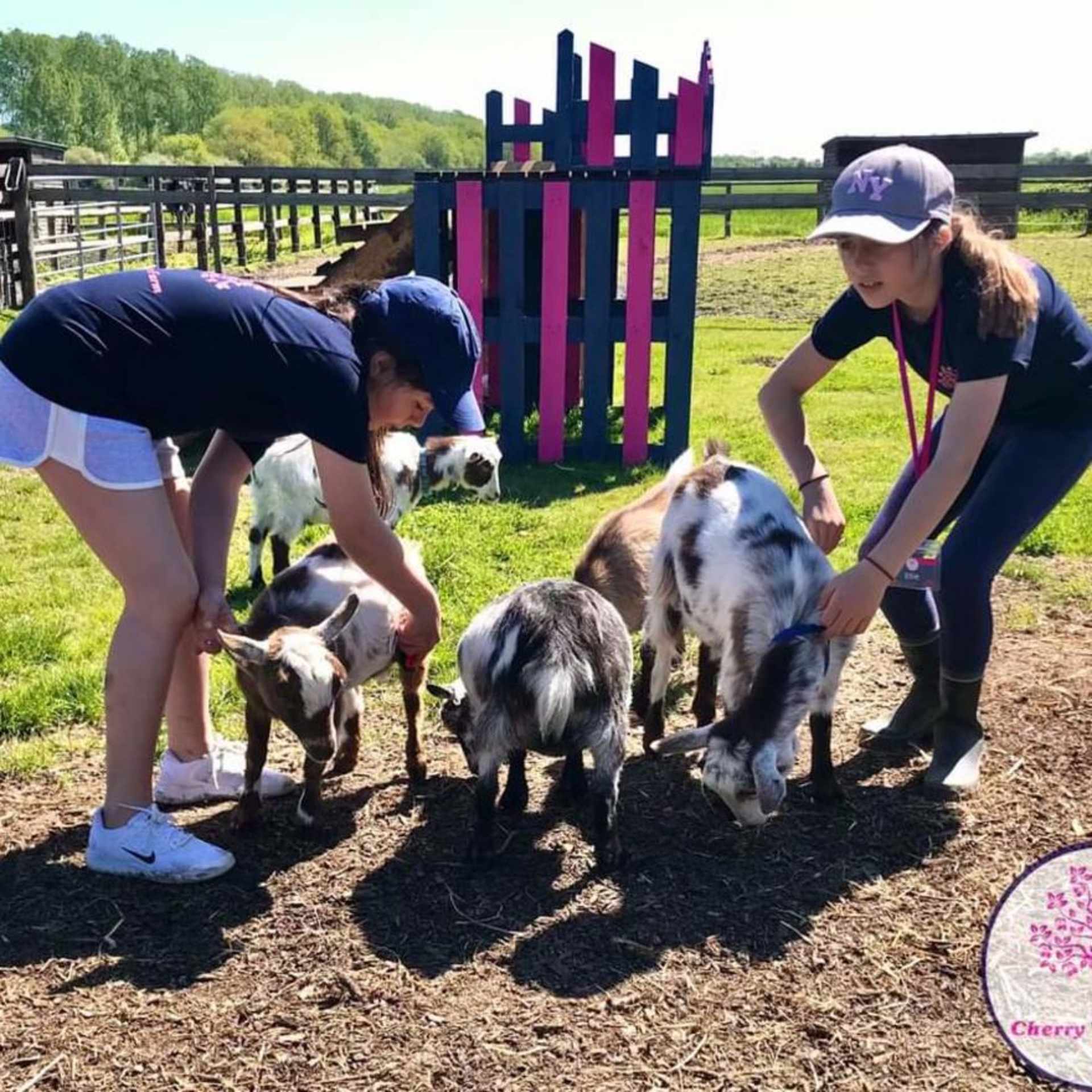 group of children petting goats