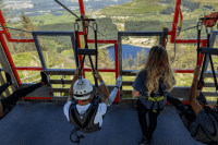 Zip World Tower