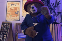 The Paddington Bear Experience