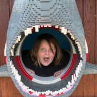 I’ve been eaten by a shark!