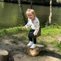Stepping stumps