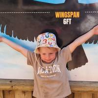 Measuring our wings