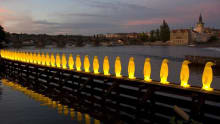 Illuminated penguins at Saatchi Gallery in Chelsea