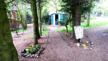 Walking trail at Talnotry Avian Care Trust in Dublin