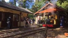 Steam trains at Groudle Glen Railway in Douglas