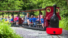 Families on train at Gypsy Wood in Caernarfon