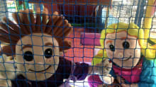Mascots at Curly Whirleez in Bolton