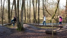 Kids on logs at Peatlands Park in Dungannon