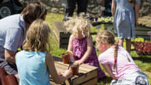 Kids planting at St Michaels Mount in Marazion