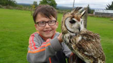 Boy holding owl at Falconry Days in Hexham