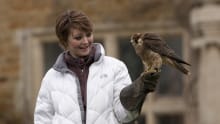 Woman with falcon at Holdenby Falconry Centre