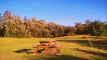 Picnic field at Long Melford Country Park