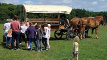 Horse and carriage at Itchen Valley Country Park in Southampton