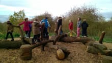 Kids on wooden obstacle course at Fermyn Woods Country Park in Brigstock