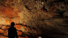 Cave wall in Kents Cavern in Torquay