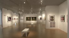 Gallery at Potteries Museum & Art Gallery in Stoke on Trent