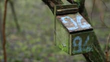 Bird box at Warburg Nature Reserve in Henley-on-Thames