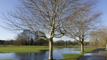 Landscape of Northcroft and Goldwell Parks in Newbury