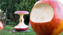 Apple sculptures at The Peoples Park in Ballymena